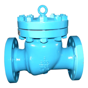 API 6D check valve